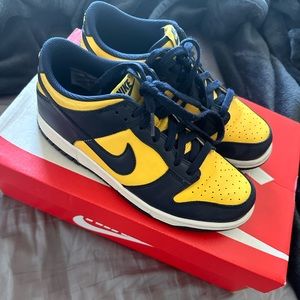 Nike Michigan Dunks (Lows)
